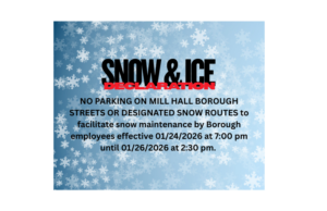 Snow & Ice Emergency